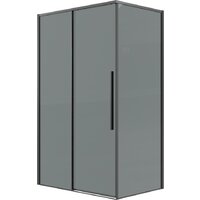 Душевой уголок Grossman Galaxy 100x90x195 120.K33.01.1090.42.10 (графит сатин/стекло тонированное) - Превью изображения №1 — Интернет-магазин samo.by