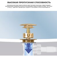 Сифон Wellsee Useful Extras 231915000 (белый/золото) - Превью изображения №6 — Интернет-магазин samo.by