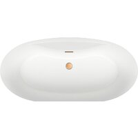 Ванна Wellsee L’aster 175x85 236301004 (отдельностоящая ванна белый глянец, экран, ножки, сифон-автомат золото) - Превью изображения №4 — Интернет-магазин samo.by