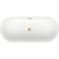 Ванна Wellsee Chic Riviera 170x76 236802004 (отдельностоящая ванна белый глянец, экран, ножки, сифон-автомат золото) - Превью изображения №4 — Интернет-магазин samo.by