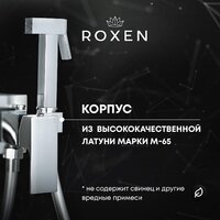 Гигиенический душ Roxen Caspia 50096000-CH - Превью изображения №15 — Интернет-магазин samo.by