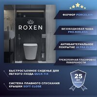 Унитаз подвесной Roxen Antares Tornado 530205-01 - Превью изображения №9 — Интернет-магазин samo.by