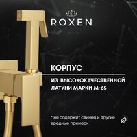 Гигиенический душ Roxen Caspia 50096000-GB - Превью изображения №5 — Интернет-магазин samo.by