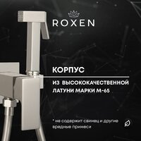 Гигиенический душ Roxen Caspia 50096000-BN - Превью изображения №5 — Интернет-магазин samo.by