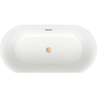 Ванна Wellsee Chic Riviera 149x78 236801004 (отдельностоящая ванна белый глянец, экран, ножки, сифон-автомат золото) - Превью изображения №4 — Интернет-магазин samo.by